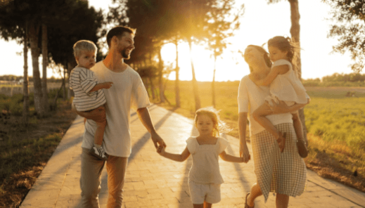 My Catholic Will demonstration